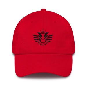 ⚡️W🅰️V🤸🏾‍♂️❗️ Swavy Stylez Dad Hats